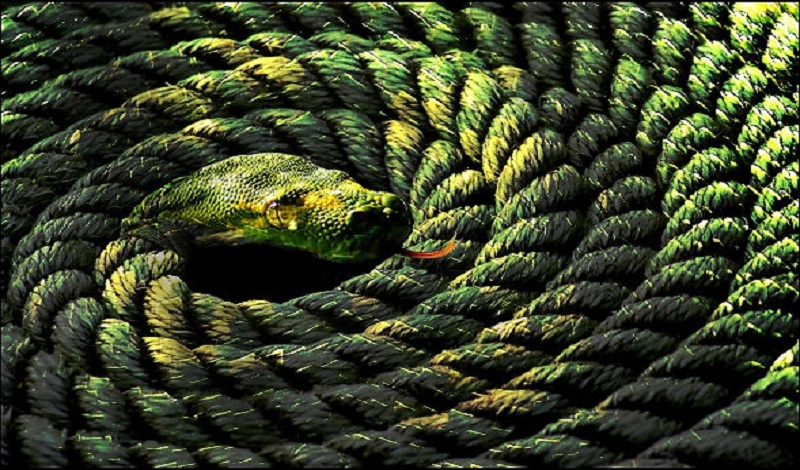 Why The Phenomenal World is MĀYĀ or Indescribable – Indian Philosophy