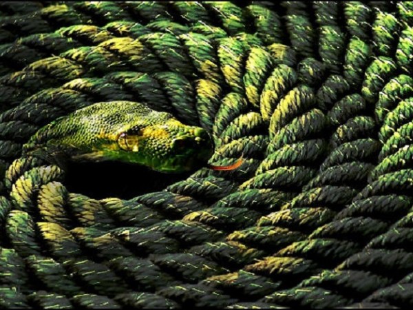 Why The Phenomenal World is MĀYĀ or&nbsp;Indescribable