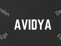 Avidya – The&nbsp;Anti-Knowledge