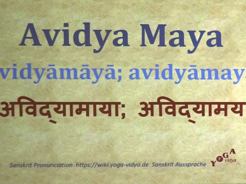The Relation And Difference Between Avidya &&nbsp;Maya